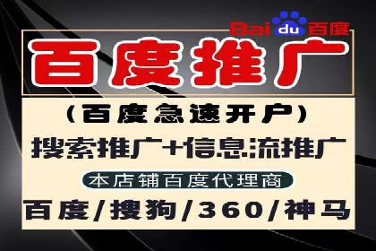 行业领先企业的SEM推广策略揭秘